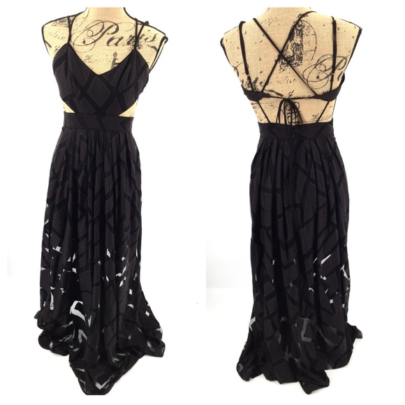 silence + noise Dresses & Skirts - SILENCE & NOISE Maxi Dress 4 Black Sheer Texture